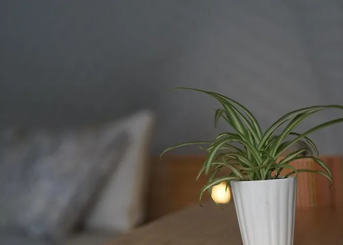 Sougia Dome * Hriszí Aktí Haniá