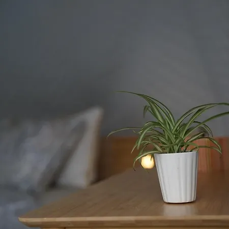 Sougia Dome * חאניה