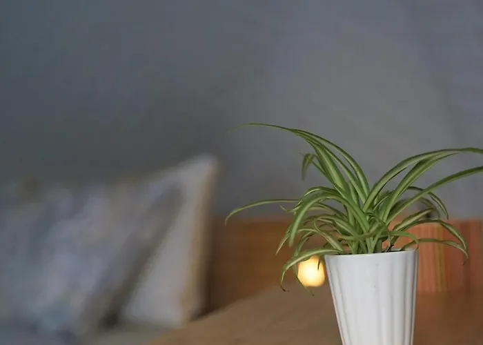 Sougia Dome Ханья