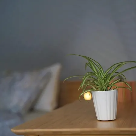 Sougia Dome Chania (Crete)